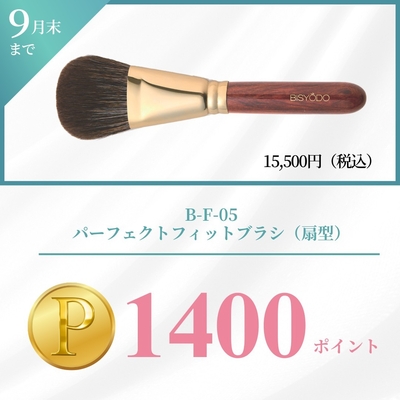 新品美粧堂パーフェクトフィットブラシ（扇型）B-F-05